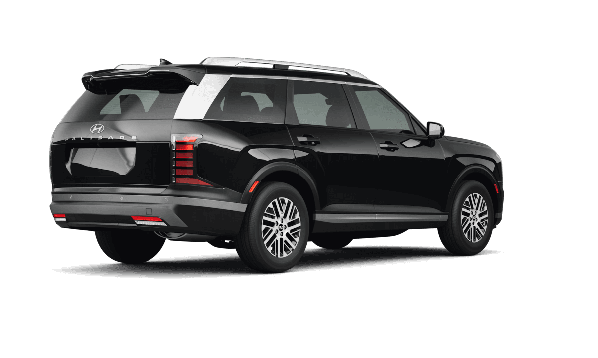 Hyundai Palisade  - Back view